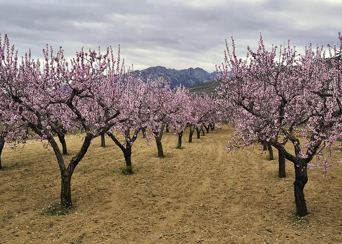 Casa de Férias Casa Martí *