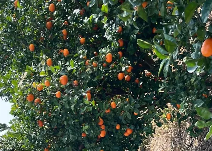 Casa Martí Casa de Férias